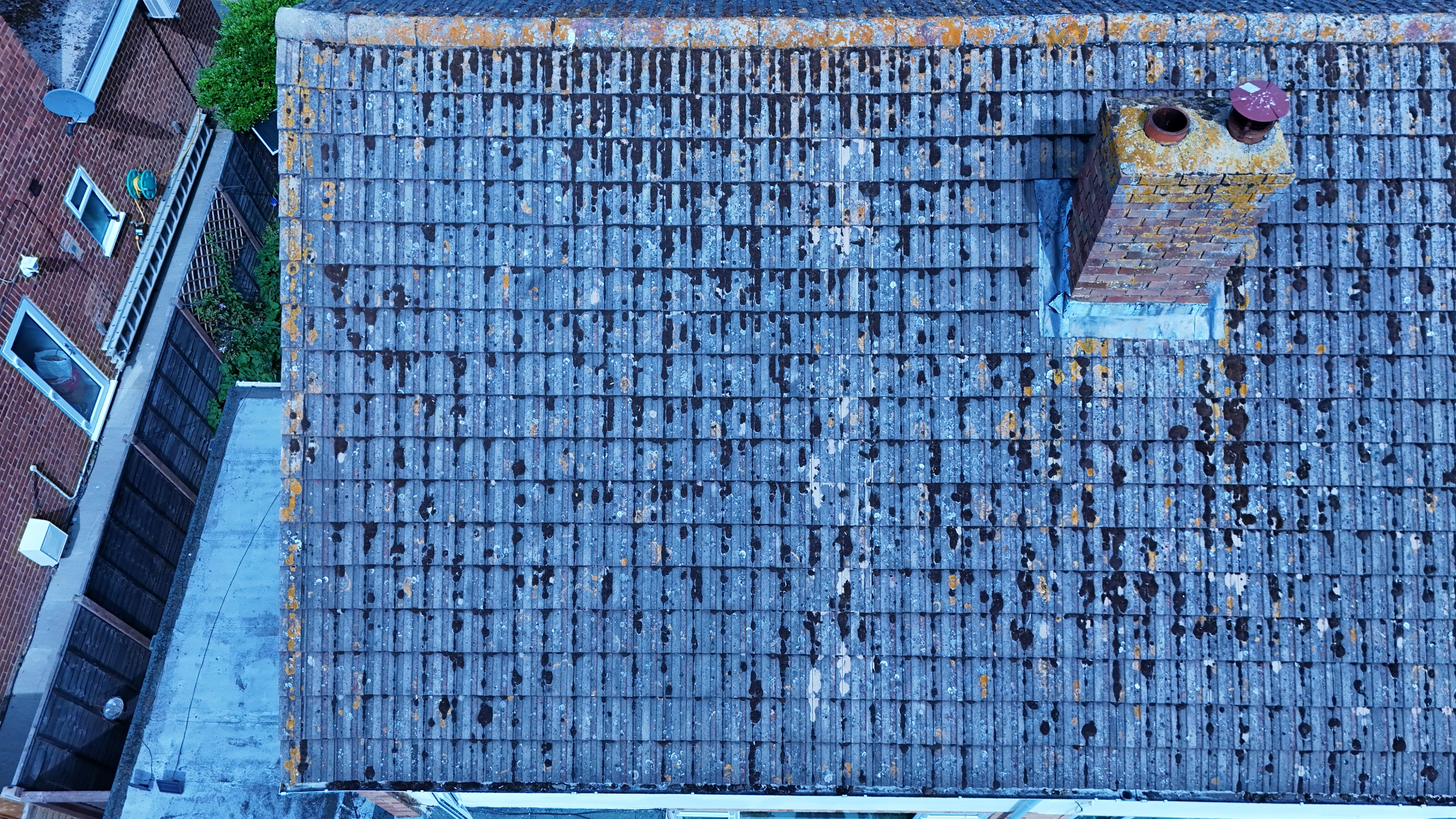 Residential Roof Condition Survey